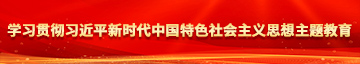 国产大鸡巴操入学习贯彻习近平新时代中国特色社会主义思想主题教育